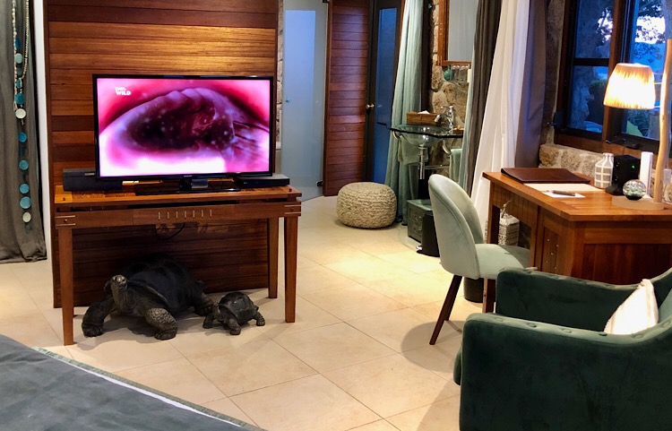 Luxury and modern room hotel Seychelles