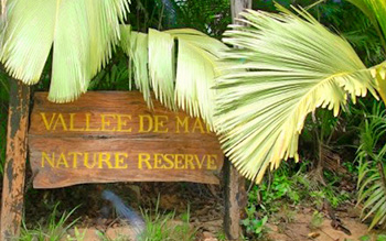 Vallée de Mai Praslin Sechelles
